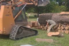 cleanup-clear-field-1