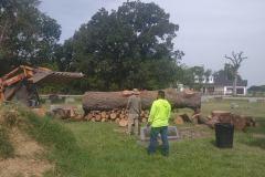 east-texas-field-clearing-1