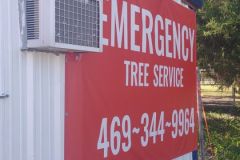emergency-tree-removal-trimming-1