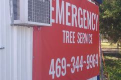 emergency-tree-removal-trimming