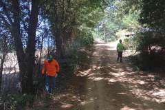 farm-ranch-tree-service