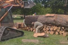 field-clearing-cleanup-1