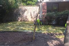 landscape-work-any-size-project