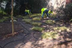 lawn-landscape-work-east-texas