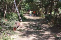 rural-tree-pruning