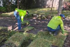 sod-lawn-installation