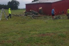 storm-damage-tree-repair