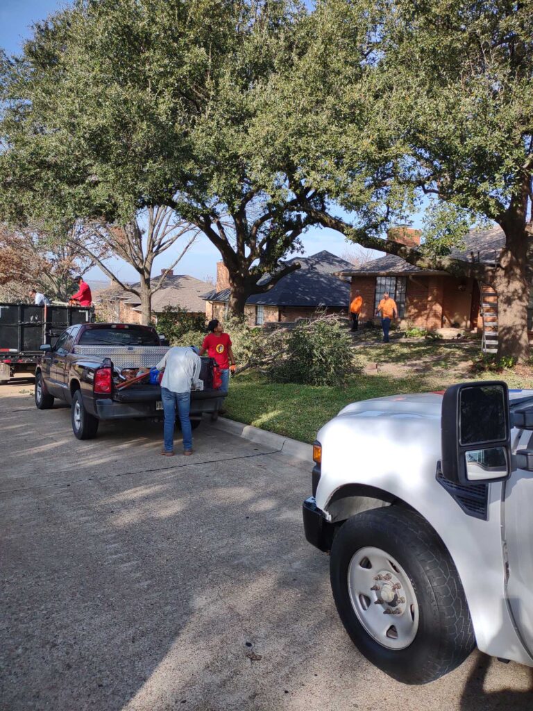 financing for tree trimming, pruning, removal