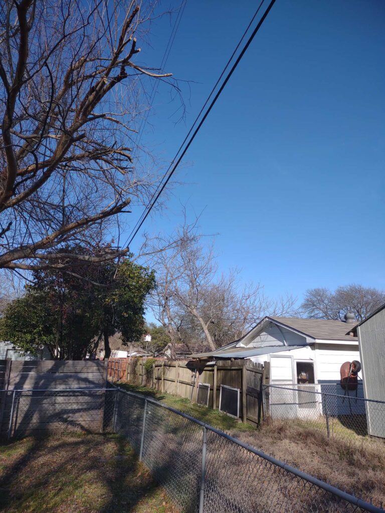 powerlines cleared