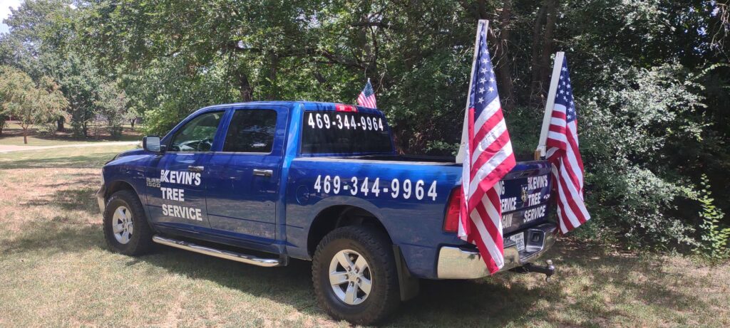 Full-service-tree-trimmer-Rice-Tx