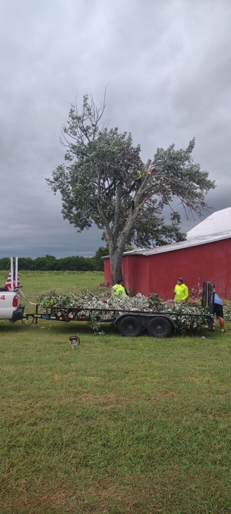 Ranch-farm-tree-service