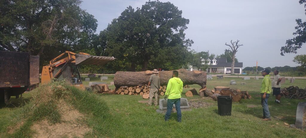 east-texas-field-clearing
