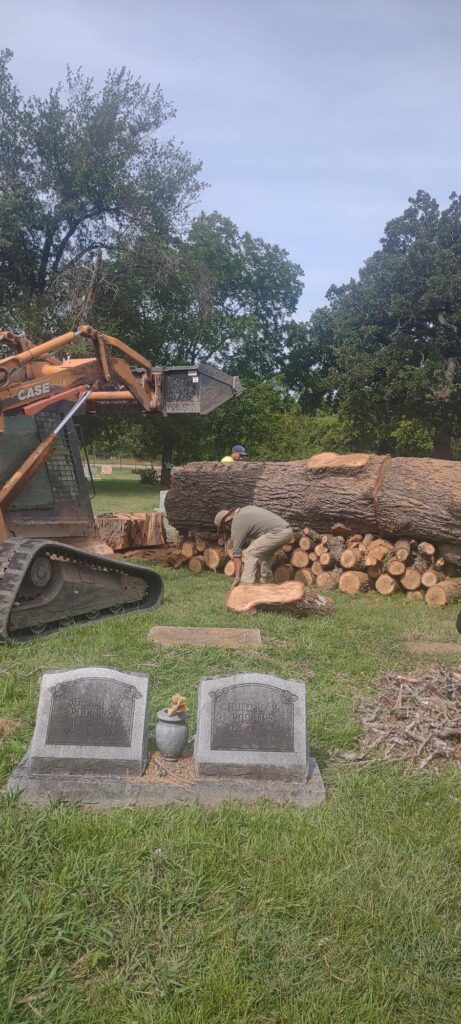 field-clearing-cleanup