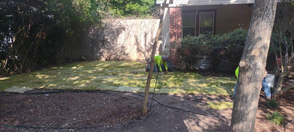 landscape-work-any-size-project