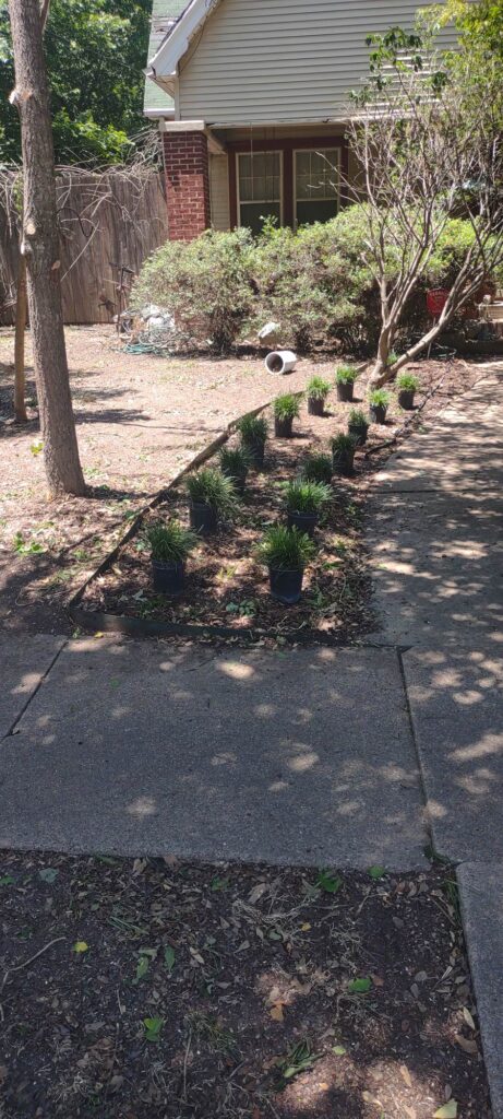 landscaping-Rice-Texas