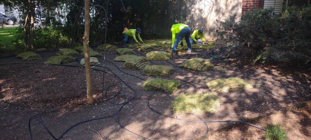 lawn-landscape-work-east-texas