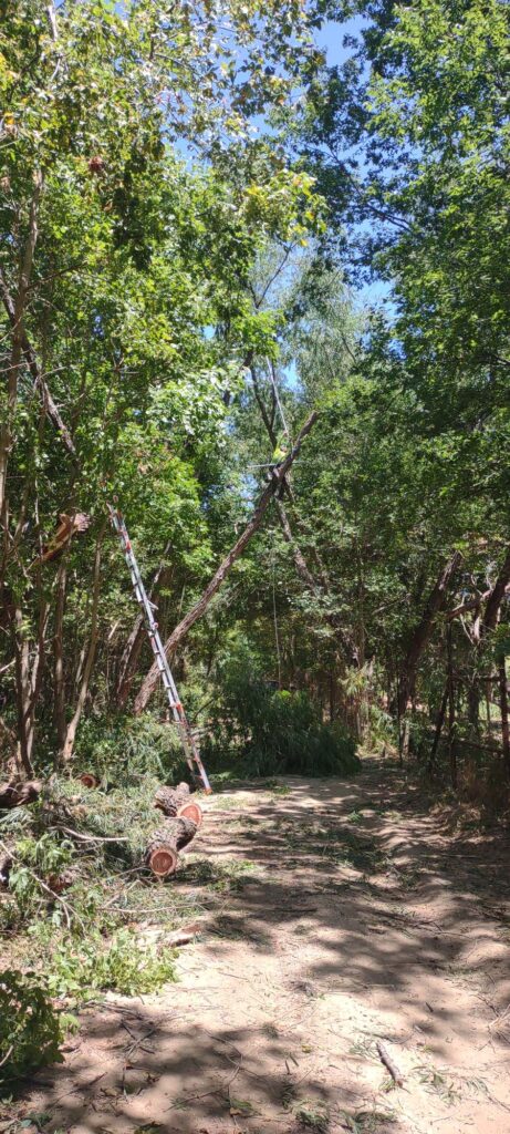 major-job-tree-trimming