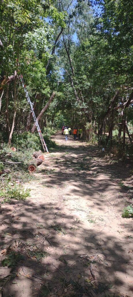 rural-tree-pruning