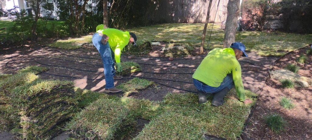sod-lawn-installation