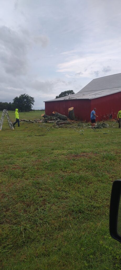 storm-damage-tree-repair